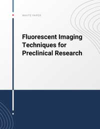 Fluorescent Imaging Techniques for Preclinical Research