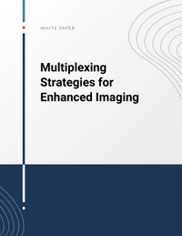 Multiplexing Strategies for Enhanced Imaging