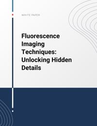 Fluorescence Imaging Techniques: Unlocking Hidden Details