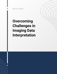Overcoming Challenges in Imaging Data Interpretation