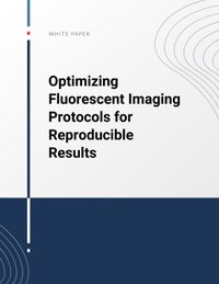 Optimizing Fluorescent Imaging Protocols for Reproducible Results