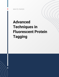 Advanced Techniques in Fluorescent Protein Tagging