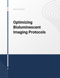 Optimizing Bioluminescent Imaging Protocols