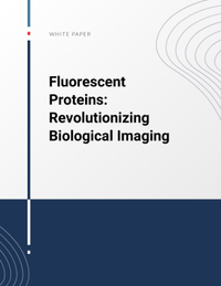 Fluorescent Proteins: Revolutionizing Biological Imaging
